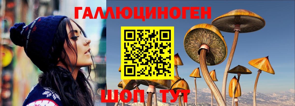 где продают наркотики  Псилоцибиновые грибы ЛСД  Вход с VPN  Избербаш 